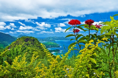 * Beautiful view * - sky, flower, flowers, ocean, nature, blue