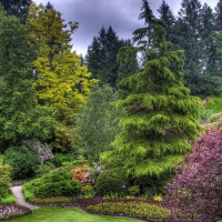 butcart gardens victoria canada hdr