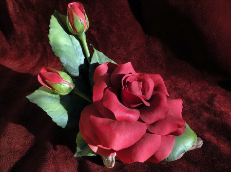 Single - buds, rose, flower, red