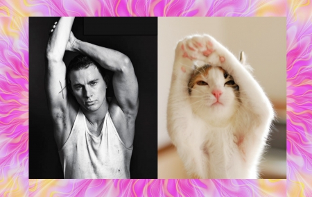 M&C - funny, situation, pink, black, collage, yellow, actor, by cehenot, mood, white, men and cats, channing tatum, man