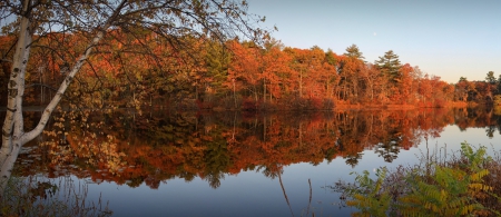 * Autumn in forest * - nature, autumn, forest, river