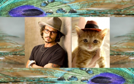 M&C - men and cats, collage, hat, sunglasses, peacock feather, ginger, purple, man, orange, green, mood, feather, cute, cat, funny, kitten, situation, by cehenot, actor, johnny depp