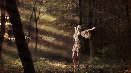 Woman in the forest - forests, people, nature, entertainment, other