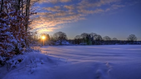 sunset on a farm in winter - farm, winter, field, trees, sunset