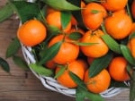 â™¥Orangesâ™¥