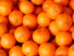 â™¥Orangesâ™¥