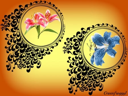 FRAMED LILIUMS - flowers, framed, creation, abstract