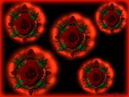 THORNS & ROSES - creation, abstract, thorns, roses