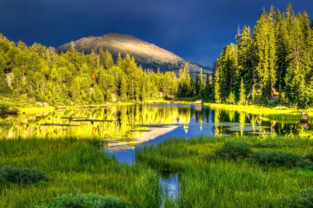 Magical reflections - sky, trees, mirrored, reflections, pretty, golden, afternoon, grass, rays, lake, landscape, mountain, magical, shore, lovely, forest, beautiful