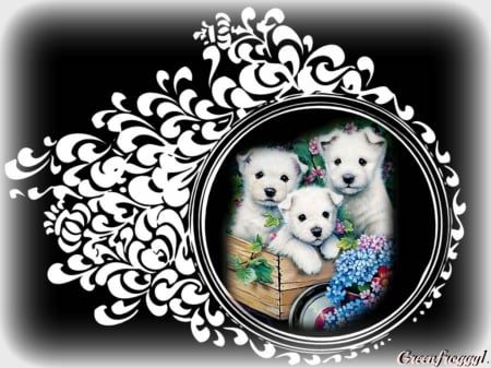 LITTLE PUPPIES - creation, little, cute, puppies