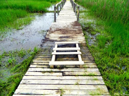 Magic place.. - love, incredible, beautiful, magic, green, bulgaria, bridge