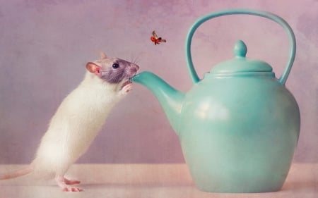 ♥ - blue, mouse, teapot, rodent, white, animal, purple, butterfly, cute