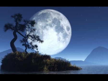 Full Moon - Moon, nature, beautiful, landscapes, cool