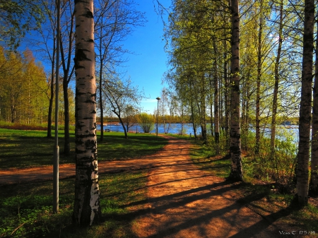 cycle path - lake, spring, cycle path, sun