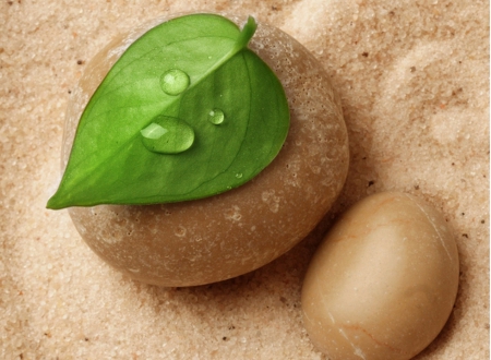 Spa - stone, sand, leaf, spa