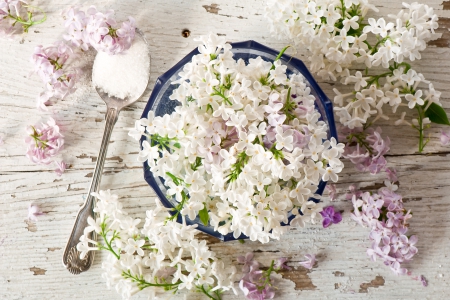 * LILACS * - bowl, suger, saucer, wood, white, nature, lilaks, flowers, lilac, flower