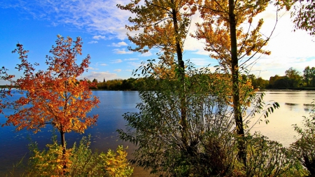 Autumn River - scenery, rivers, scene, trunks, plants, seasons, nice, colors, nature, picture, autumn, high definition, reflections, amazing, landscape, photo, surface, leaves, forests, mirror, view, hd, sky, clouds, branches, trees, water, image, beautiful, photography, scenic, cool, reflex, awesome, panorama, leaf