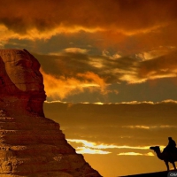 Sphinx at sunset with Camel