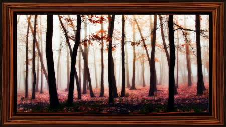 autumn portrait - nature, autumn, trees, frame