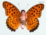 baby with wings