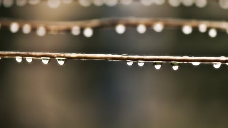 raining - abstract, drops, bg, raining