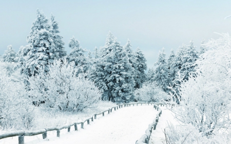 Snowy - winter, trees, nature, snow