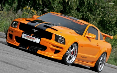 FORD MUSTANG GT 520HORSE - semi truck, sema show, socal customs, wallpapers up