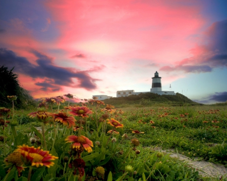 Lighthouse - sky, lighthouse, flowers, field, nature