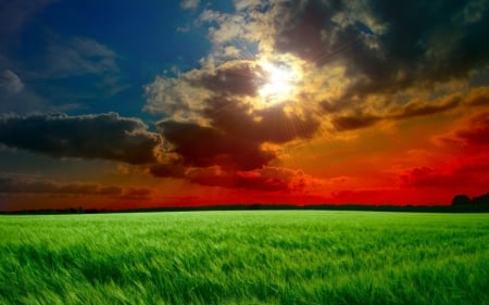 Amazing sky and field - sky, clouds, field, nature, grass