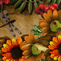 Flowers and insects