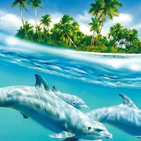 Three Sweet Dolphins