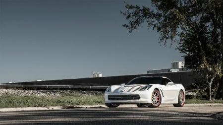 2014_Corvette_Stingray_C7 - 2014, white, bowtie, gm