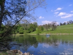 Reflections of Spring on the Lake