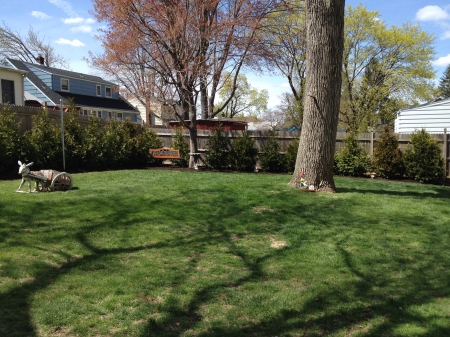 Outdoors - spring, grass, nature, fields