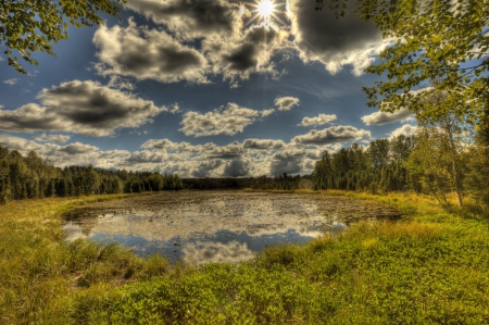 * Small pond * - nature, sky, lake, dark, pond