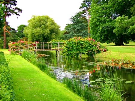 Bridge over lake - greenery, trees, pond, beautiful, grass, reflection, flowers, river, nature, green, serenity, lake, summe, bridge, r park