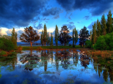 * Reflection of trees in lake * - lake, forest, trees, nature