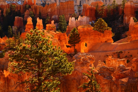 * Canyon - National Park - YUTA * - mountins, trees, nature, canyon