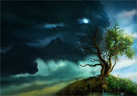 Stormy Region - sky, tree, clouds, storm