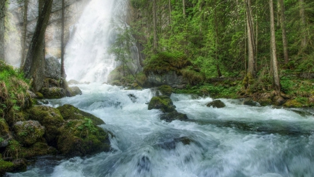 splendid waterfall into a ranging rive - rapids, spray, forest, river, waterfall, rocks