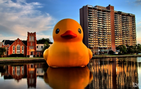 Chrysler Museum of Art - museum, norfolk, duck, art