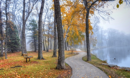 Forest Garden - beauty, forest, garden, way