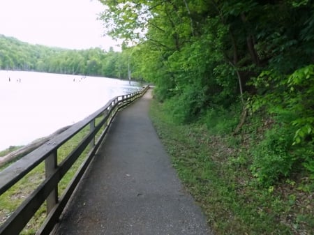 The Path - wood, fence, lake, trees