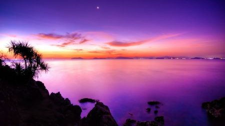 purple sunset on the bay hdr - purple, sunset, shore, bay, lights