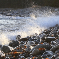 sea waves on a stone beach