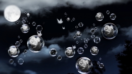 Some nights with moon.... - moon, roses, night, bubbles, white, dark, clouds, night time, moonlight, butterflies