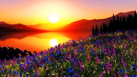 Colorful Sunset - flowers, hills, lake, colors, sun, sky