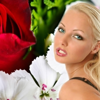A Sweet Glance