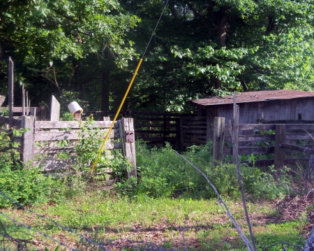 Abandoned Corral - architecture, farm, rural, tennessee