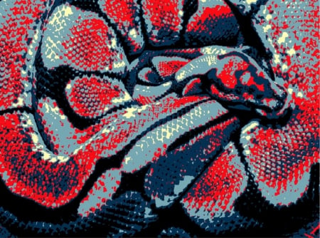 Abstract Spider Ball Python - abstract, snake, sweet, sick